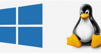 Linux Hosting mi Windows Hosting mi?