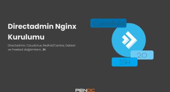 Directadmin Nginx Kurulum