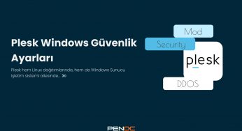 Plesk Windows Güvenlik Ayarları